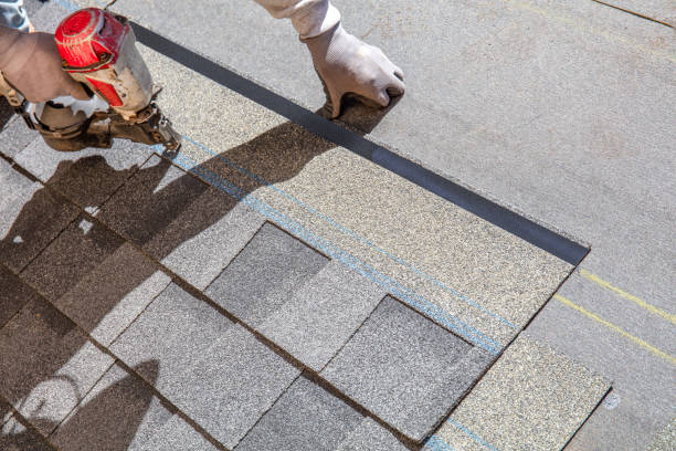 Best Metal Roofing Contractor  in Pine Hills, CA